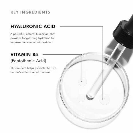 SkinCeuticals - Hydrating B5 Gel - 
